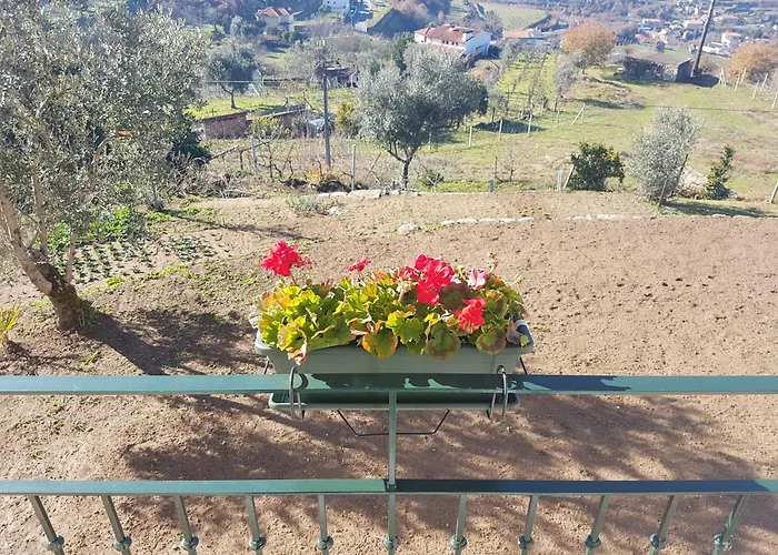 Casa De Campo - Cinfaes Do Douro
