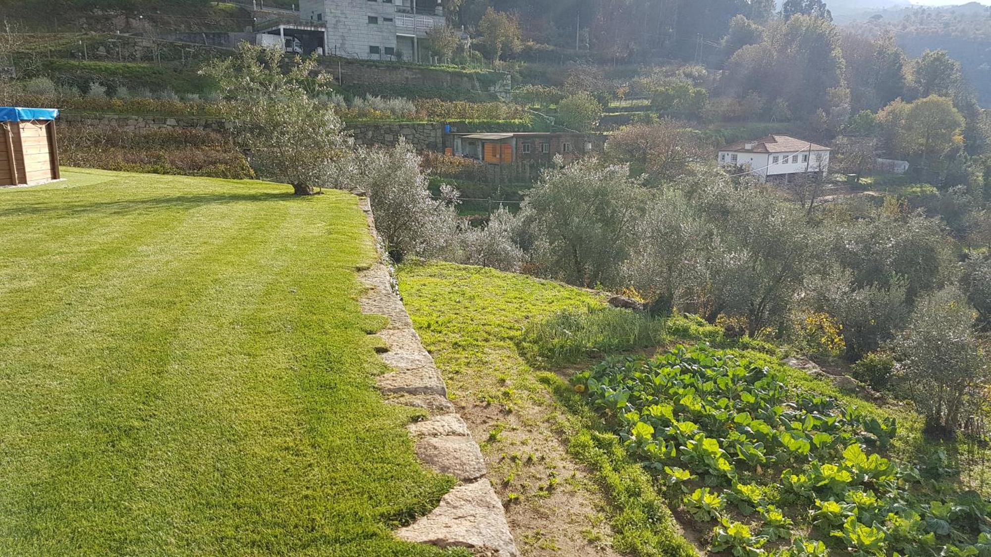 Holiday home - Do Douro *