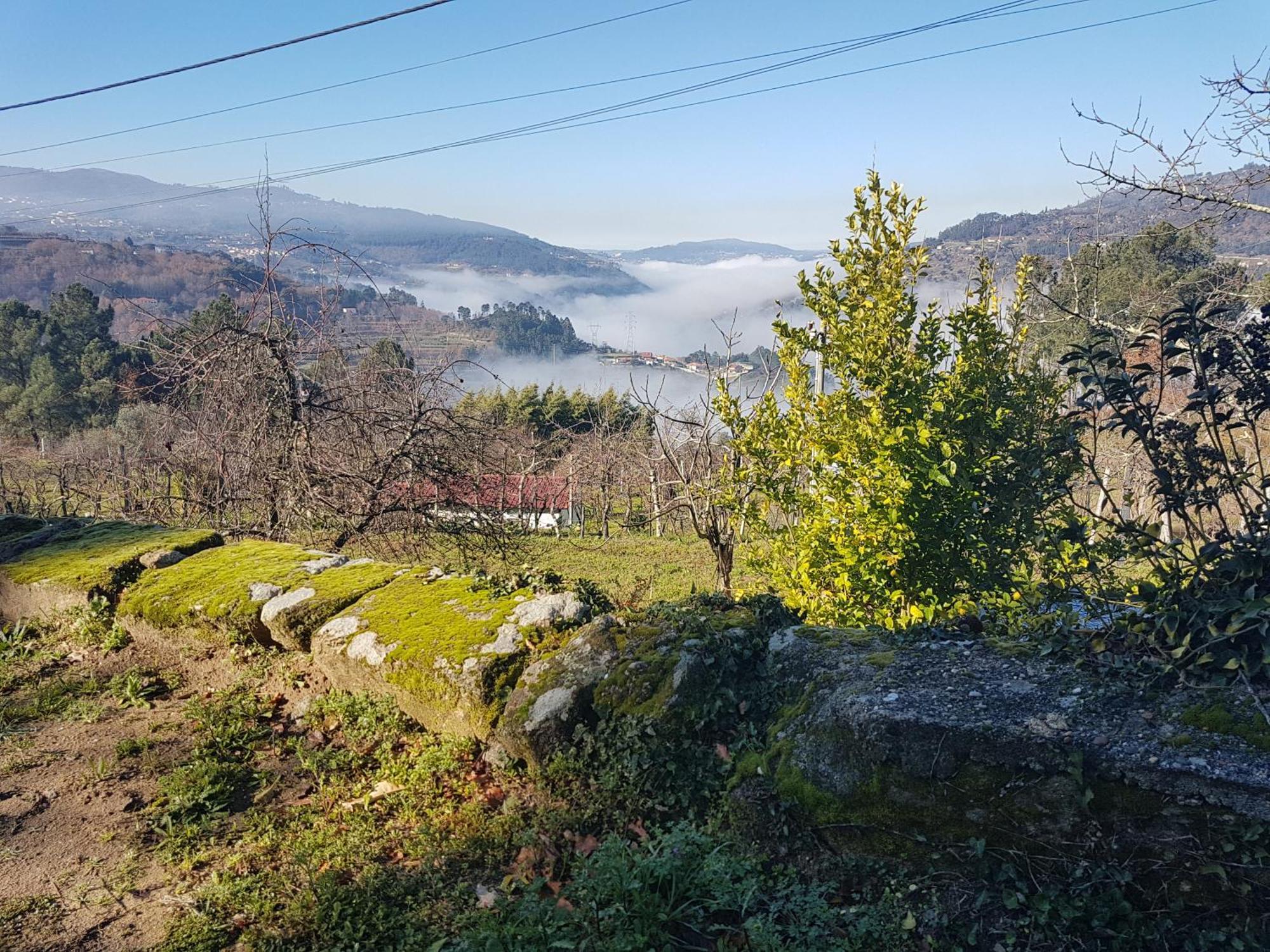 - Do Douro Holiday home Cinfaes