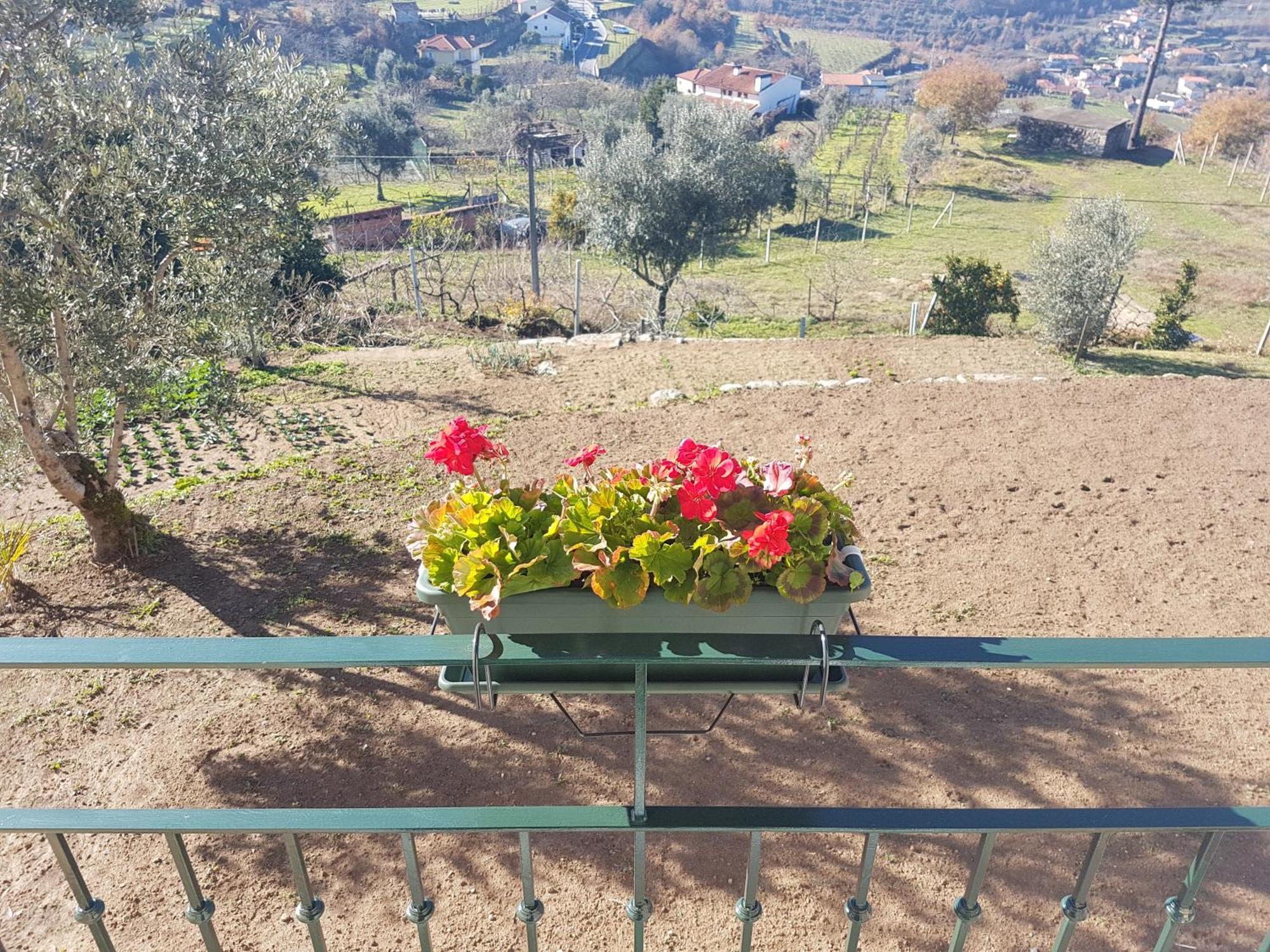 Holiday home - Do Douro Cinfaes