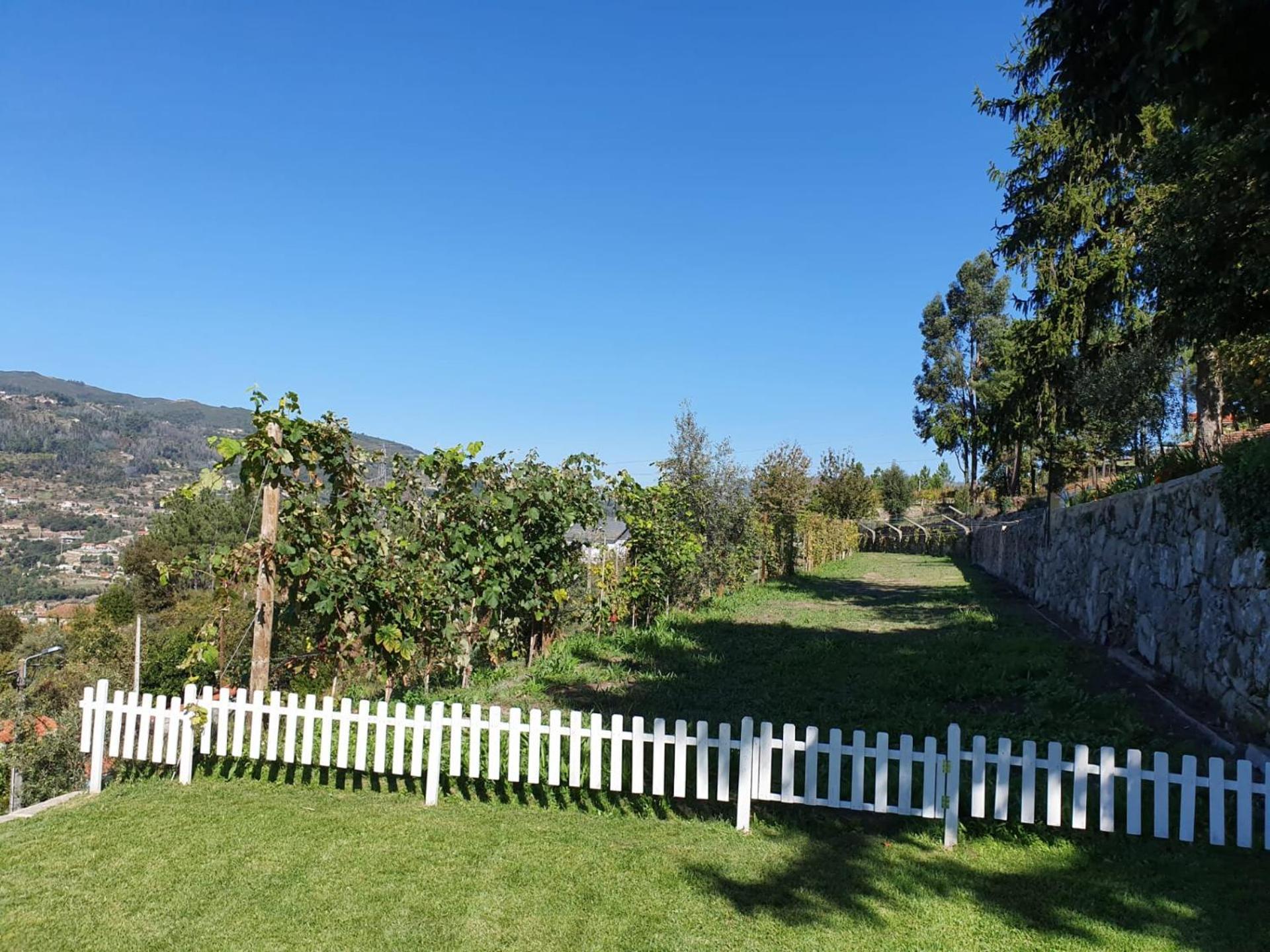 - Do Douro * Cinfaes